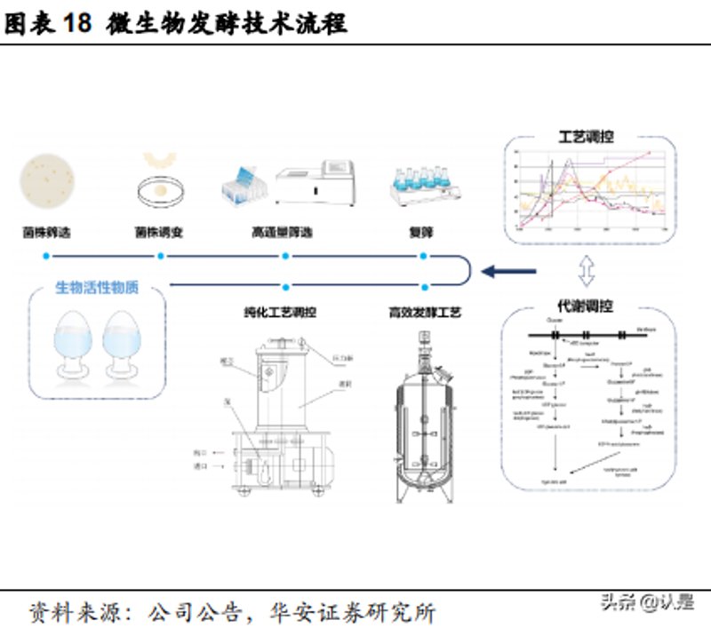 生物科技研发：开启未来医疗新篇章