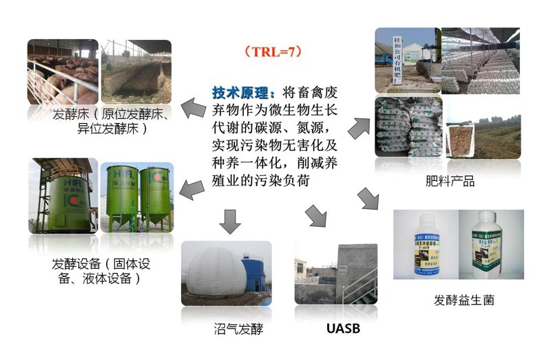 揭开微生物发酵技术的神秘面纱