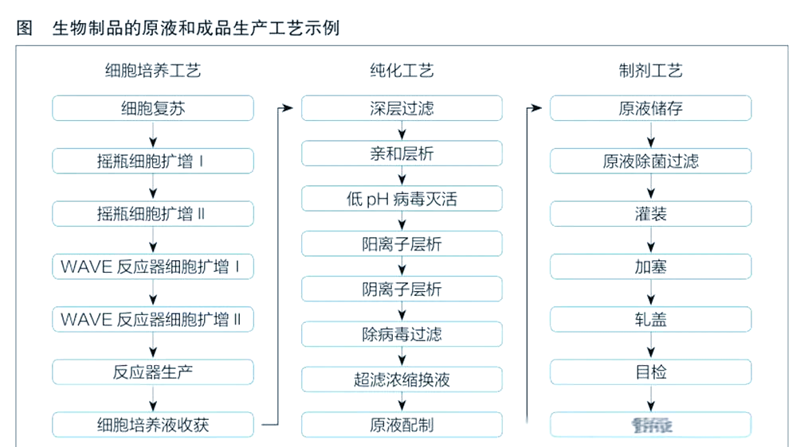 生物科技研发：开启未来医疗新篇章