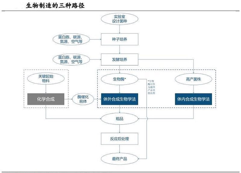揭秘微生物发酵技术：选购指南